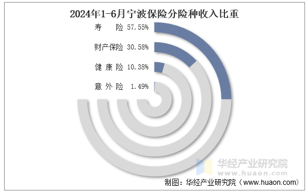 2024年1-6月宁波保险分险种收入比重