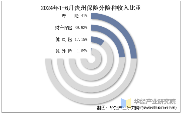 2024年1-6月贵州保险分险种收入比重