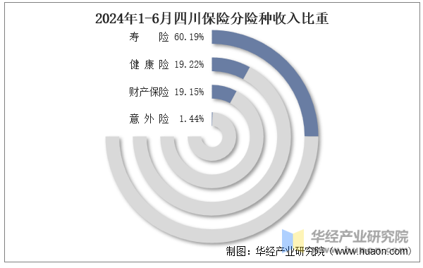 2024年1-6月四川保险分险种收入比重