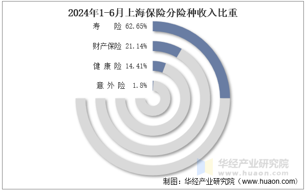 2024年1-6月上海保险分险种收入比重