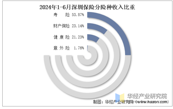 2024年1-6月深圳保险分险种收入比重