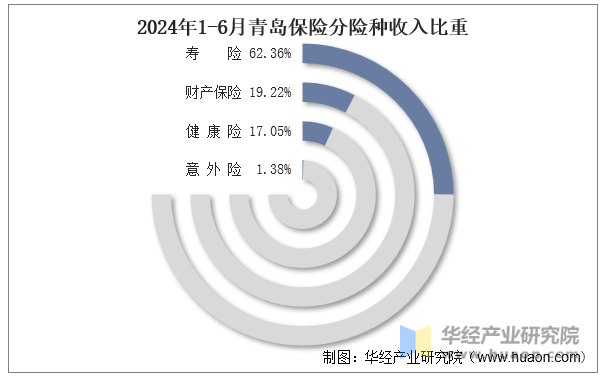 2024年1-6月青岛保险分险种收入比重