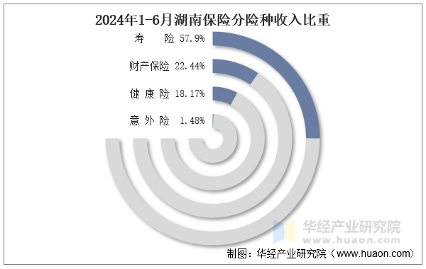 2024年1-6月湖南保险分险种收入比重