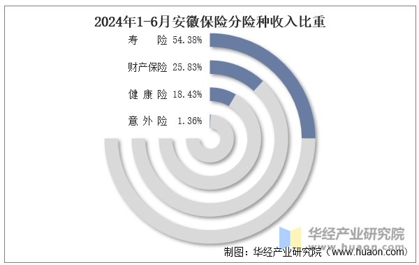 2024年1-6月安徽保险分险种收入比重