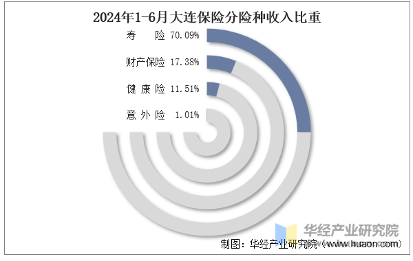 2024年1-6月大连保险分险种收入比重