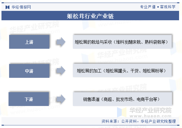 姬松茸行业产业链