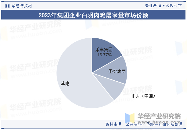 2023年集团企业白羽肉鸡屠宰量市场份额