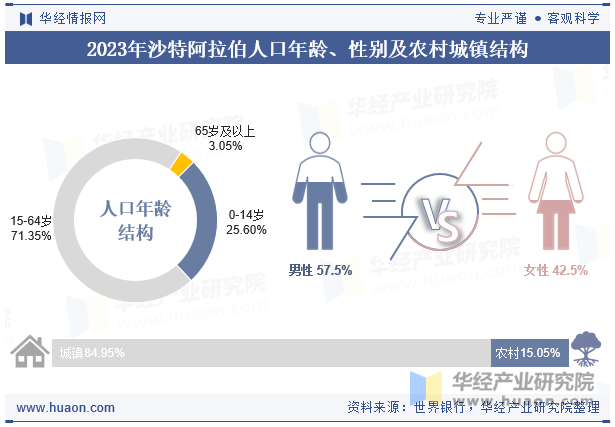 2023年沙特阿拉伯人口年龄、性别及农村城镇结构