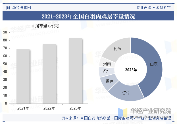 2021-2023年全国白羽肉鸡屠宰量情况