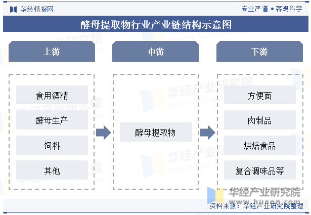 酵母提取物行业产业链结构示意图