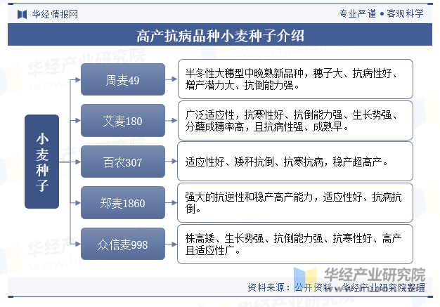 高产抗病品种小麦种子介绍