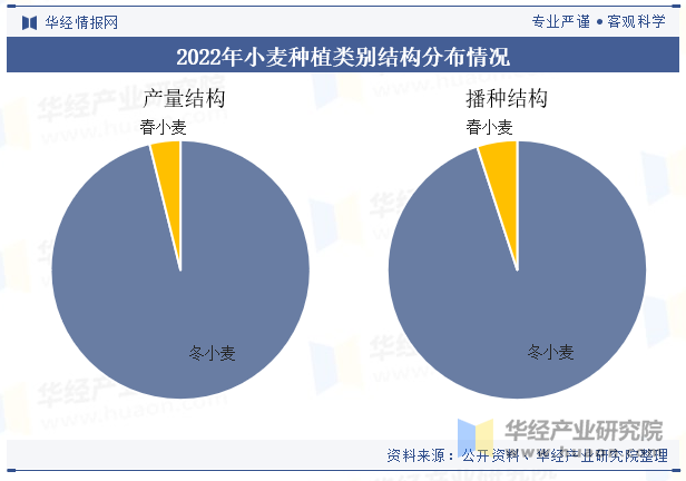 2022年小麦种植类别结构分布情况