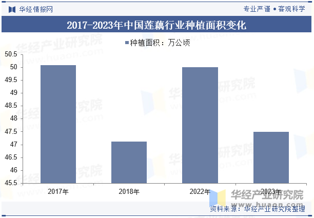 2017-2023年中国莲藕行业种植面积变化