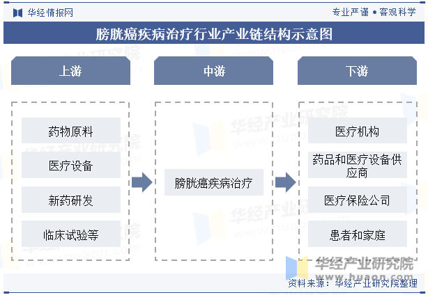 膀胱癌疾病治疗行业产业链结构示意图