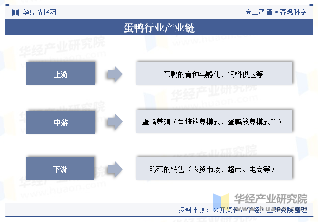 蛋鸭行业产业链