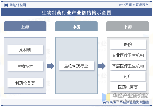 生物制药行业产业链结构示意图