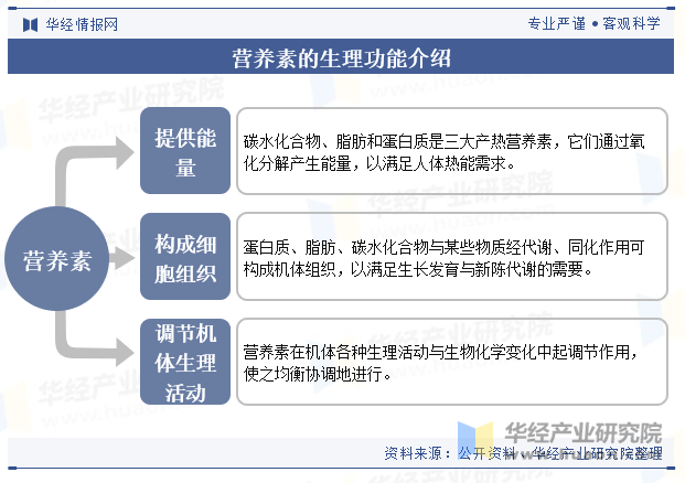 营养素的生理功能介绍