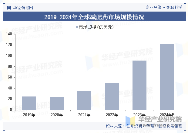 2019-2024年全球减肥药市场规模情况