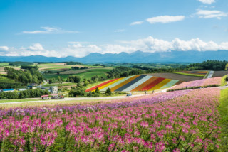 乡村旅游发展前景广阔，我国的“最佳旅游乡村”总数达到15个，居世界第一！