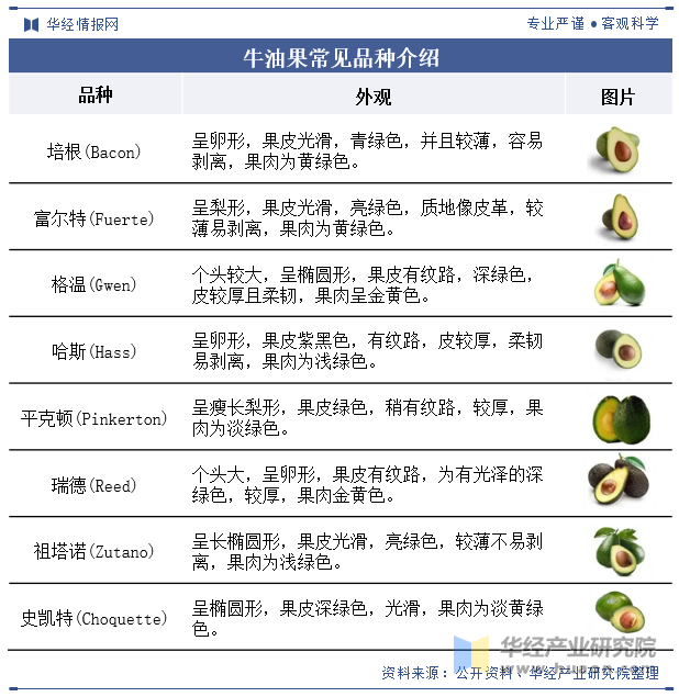 牛油果常见品种介绍