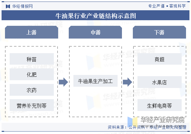 牛油果行业产业链结构示意图