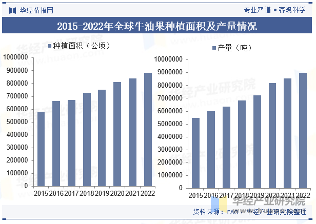 2015-2022年全球牛油果种植面积及产量情况