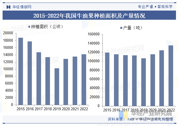 2015-2022年我国牛油果种植面积及产量情况