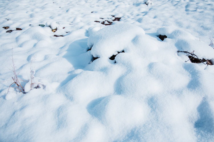 千库网_下雪冬天白天雪地户外无摄影图配图_摄影图编号255900