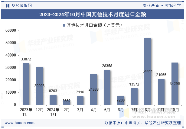 2023-2024年10月中国其他技术月度进口金额