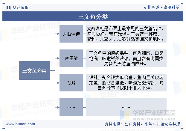 三文鱼分类