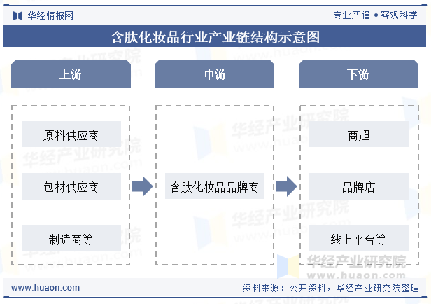 含肽化妆品行业产业链结构示意图