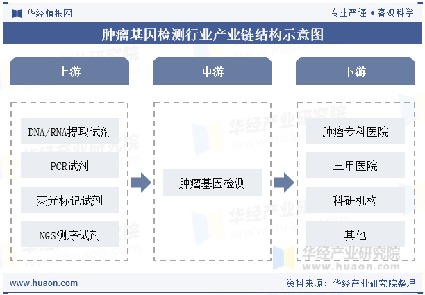 肿瘤基因检测行业产业链结构示意图