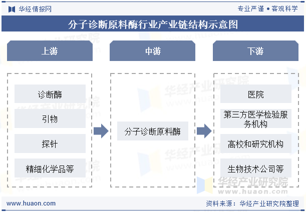 分子诊断原料酶行业产业链结构示意图