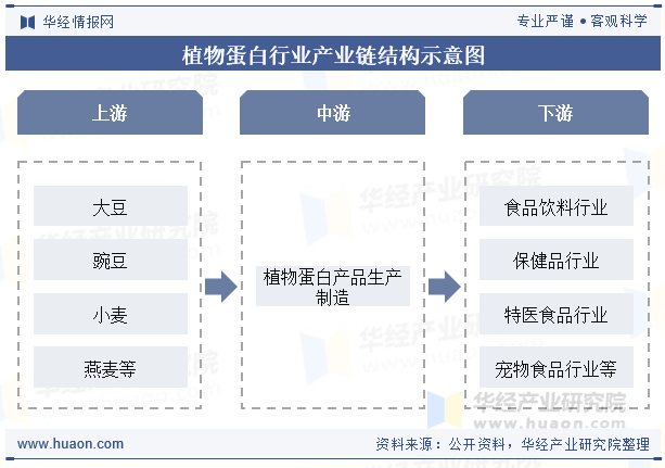 植物蛋白行业产业链结构示意图