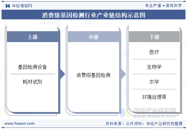消费级基因检测行业产业链结构示意图