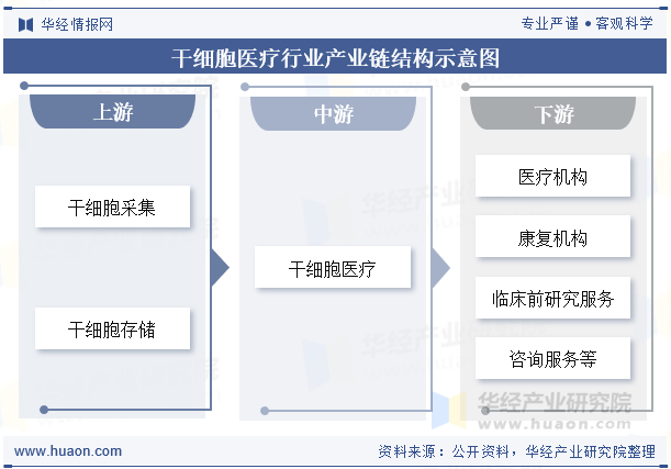 干细胞医疗行业产业链结构示意图