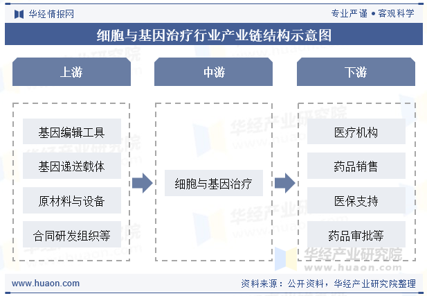 细胞与基因治疗行业产业链结构示意图