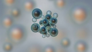 2025年中国免疫细胞存储行业现状及展望(附市场规模、存储增量及重点企业)「图」