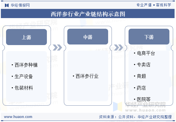 西洋参行业产业链结构示意图