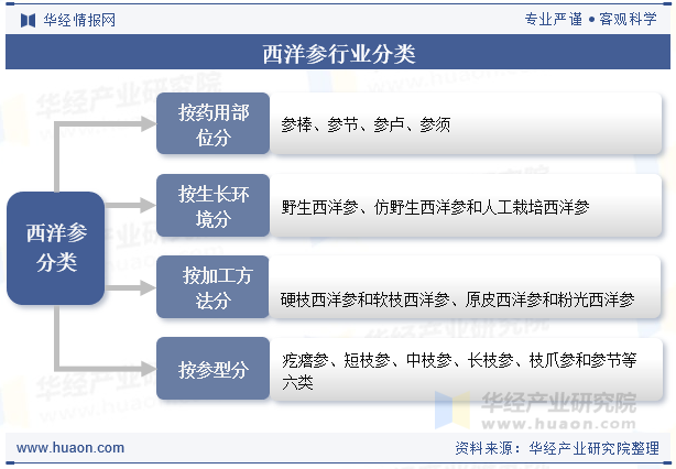 西洋参行业分类