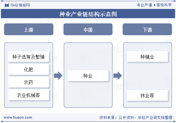 种业产业链结构示意图