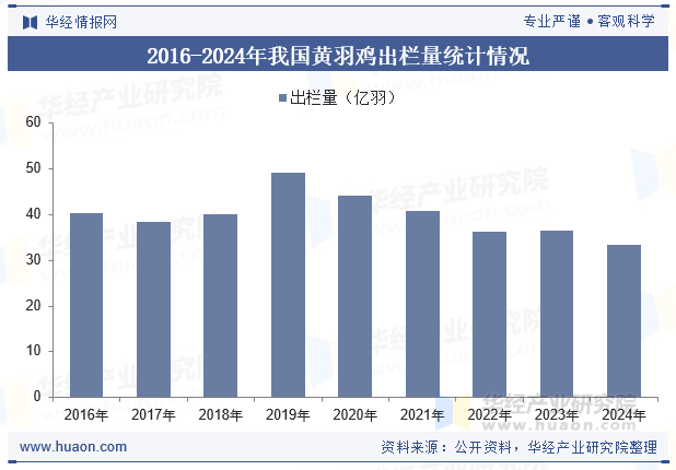 2016-2024年我国黄羽鸡出栏量统计情况