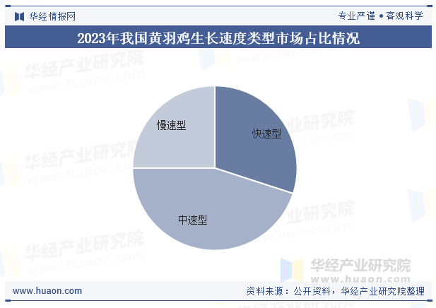 2023年我国黄羽鸡生长速度类型市场占比情况