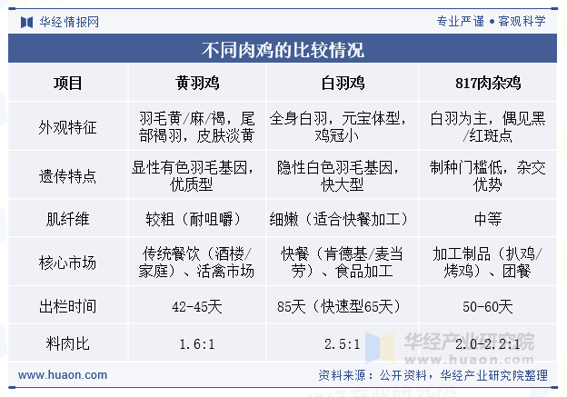 不同肉鸡的比较情况