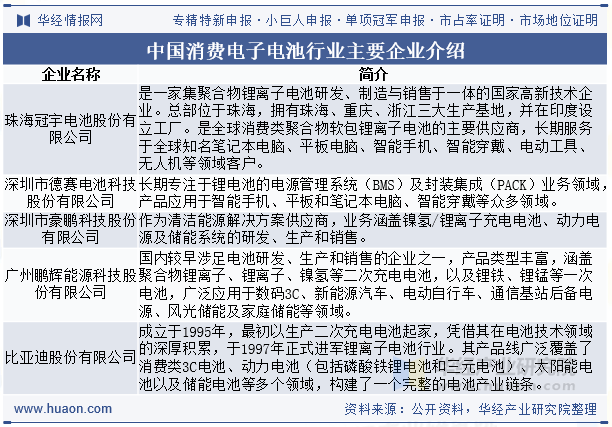 中国消费电子电池行业主要企业介绍