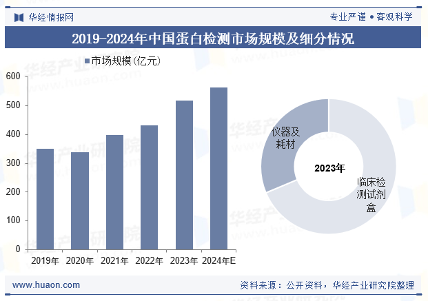 2019-2024年中国蛋白检测市场规模及细分情况