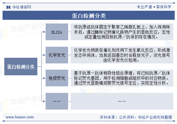 蛋白检测分类