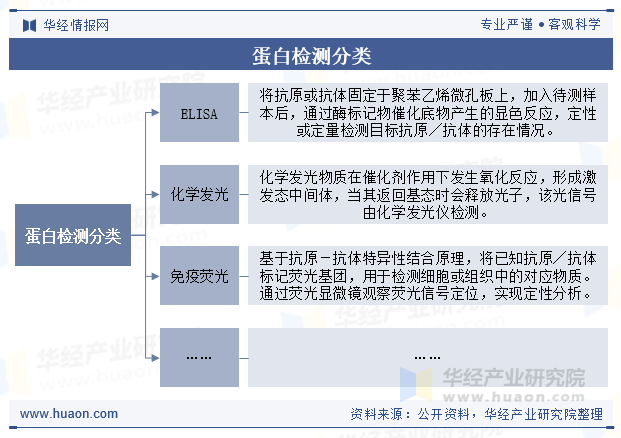 蛋白检测分类