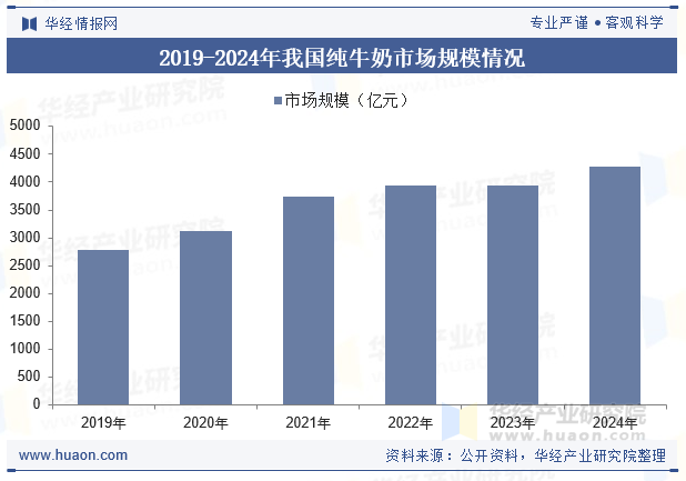 2019-2024年我国纯牛奶市场规模情况