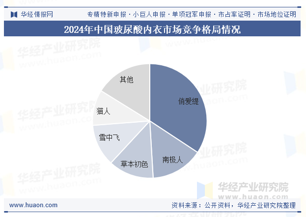 2024年中国玻尿酸内衣市场竞争格局情况